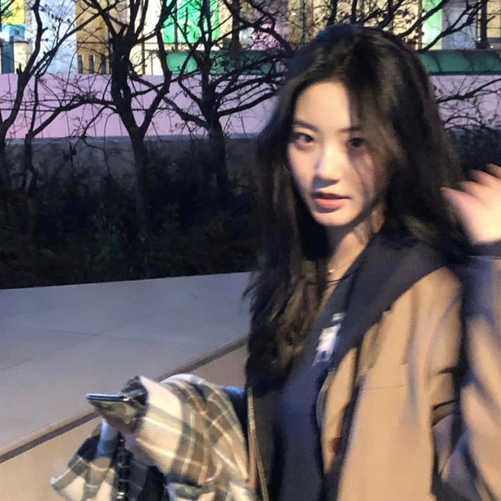 彩凤春情